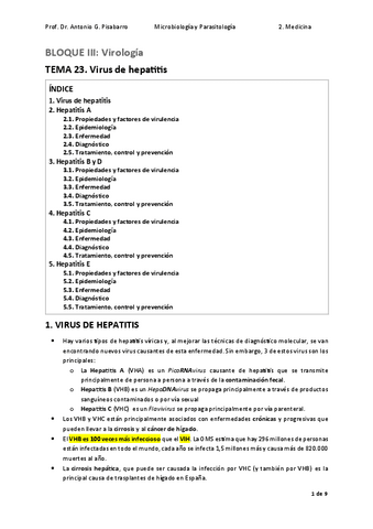 TEMA-23.-Virus-de-hepatitis.pdf