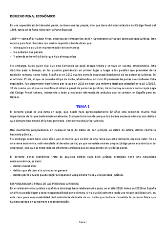 Penal-Economico-Bloque-1.pdf