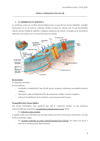 TEMA-2-FISIOLOGIA-CELLULAR-1.pdf