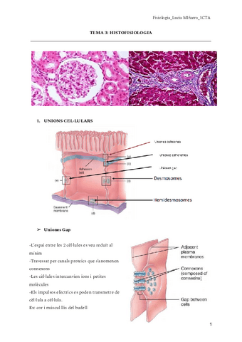 TEMA-3-HISTOFISIOLOGIA.pdf
