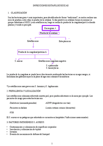 apuntes-tema-1.pdf