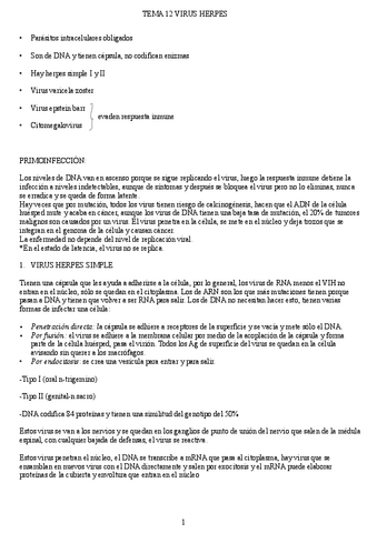 apuntes-tema-12.pdf