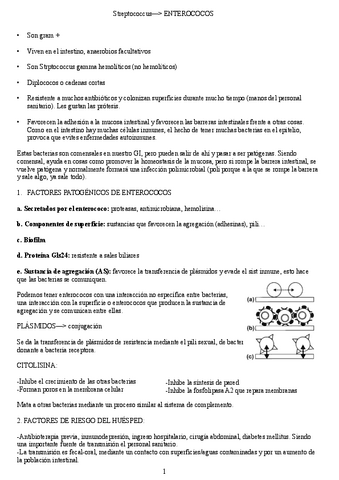 apuntes-tema-4.pdf