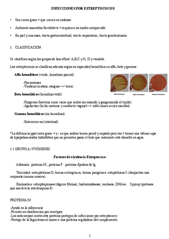 apuntes-tema-2.pdf