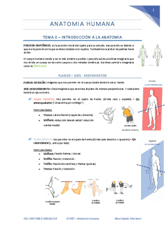 Anatomia-Humana-1r-Parcial.pdf