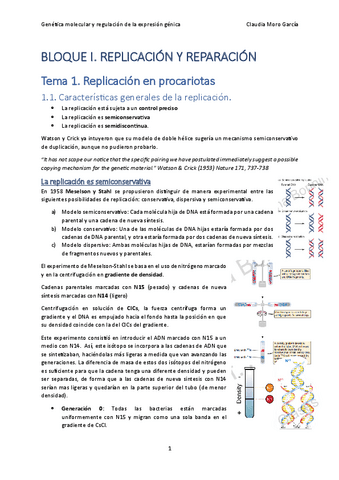 Tema-1.-Replicacion-en-procariotas.pdf