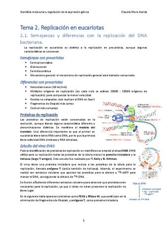 Tema-2.-Replicacion-en-eucariotas.pdf