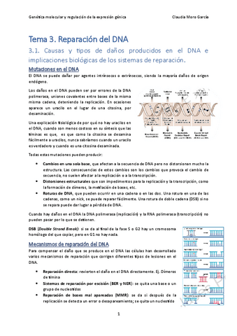 Tema-3.-Reparacion-del-DNA.pdf