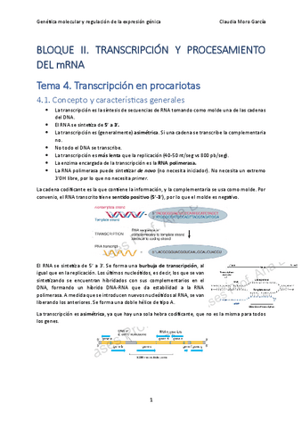 Tema-4.-Transcripcion-en-procariotas.pdf