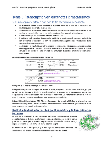 Tema-5.-Transcripcion-en-eucariotas-I.pdf