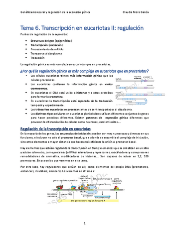 Tema-6.-Transcripcion-en-eucariotas-II.pdf