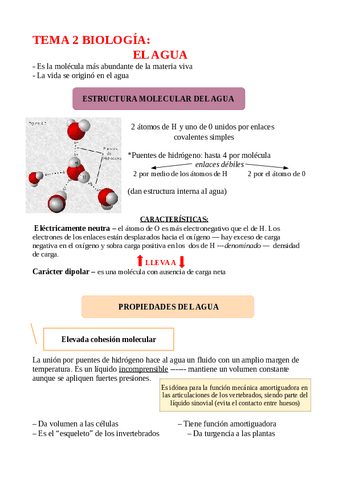 apuntes-biologia-tema-2-EL-AGUA.pdf