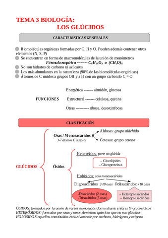 apuntes-biologia-tema-3-LOS-GLUCIDOS.pdf