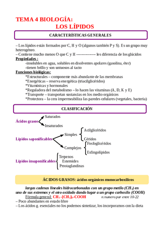 TEMA-4-LIPIDOS.pdf