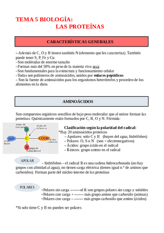 APUNTES-TEMA-5-PROTEINAS.pdf