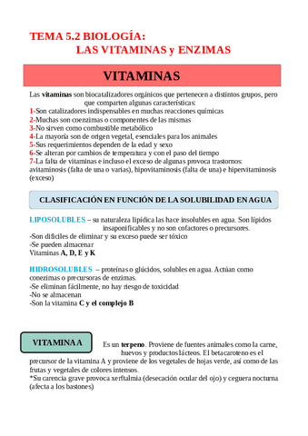TEMA-5.2-VITAMINAS.pdf