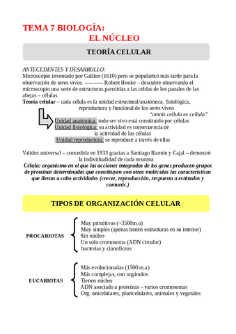 TEMA-7-EL-NUCLEO.pdf