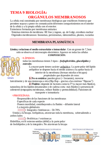 TEMA-9-BIOLOGIA-MEMBRANA-PLASMATICA.pdf
