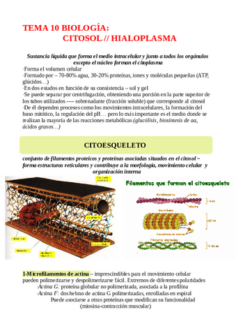 TEMA-10-CITOSOL-O-HIALOPLASMA.pdf