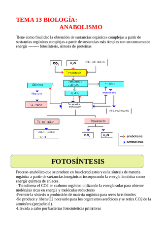 TEMA-13-ANABOLISMO.pdf
