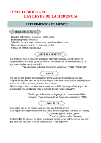 TEMA-14-LAS-LEYES-DE-LA-HERENCIA.pdf