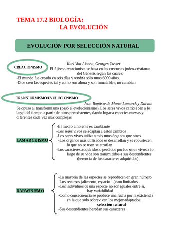 TEMA-17.2-LA-EVOLUCION.pdf