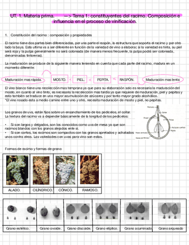 Enologia-T1.pdf