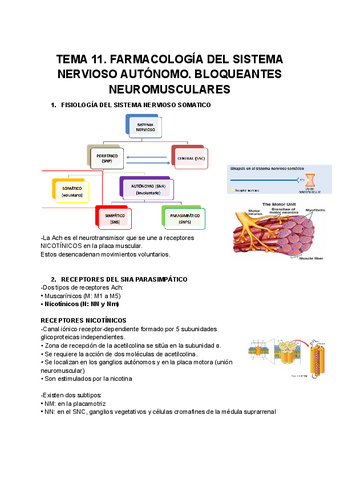 TEMA-11.FARMACOLOGIA-DEL-SISTEMA-NERVIOSO-AUTONOMO.-BLOQUEANTES-NEUROMUSCULARES.pdf