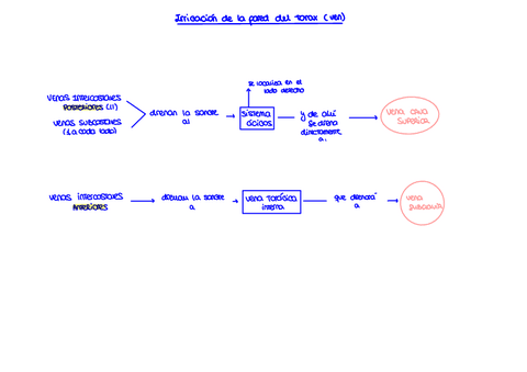EsquemaDrenaje-de-la-pared-toracica.pdf