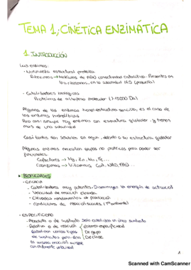 tema 1 enzimatica.pdf