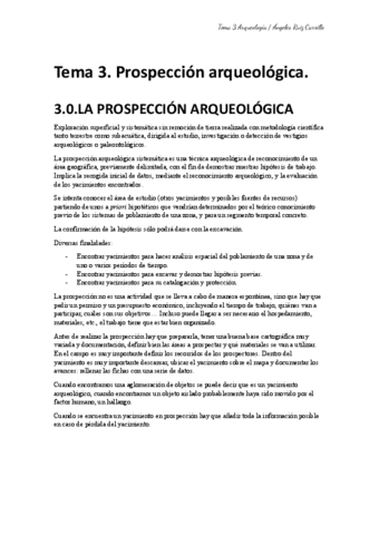 TEMA-3 arqueología.pdf