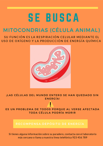 Poster-mitocondria.pdf