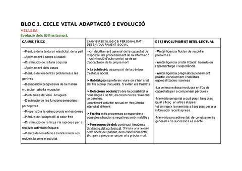 BLOC-1-VELLESA.pdf