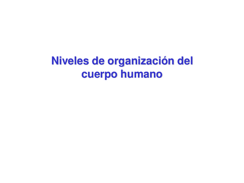 2.-Niveles-de-organizacion-del-cuerpo-humano.pdf