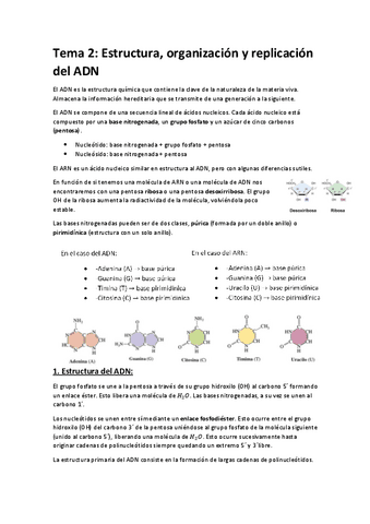 Tema-2.pdf