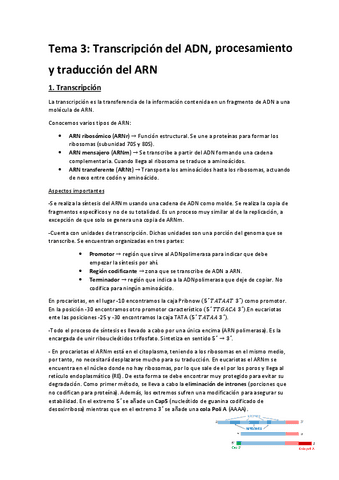 Tema-3.pdf