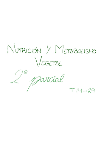 RESUM-2n-parcial.pdf