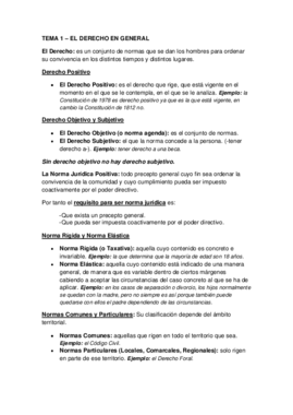 TEMA 1 - El Derecho en General.pdf