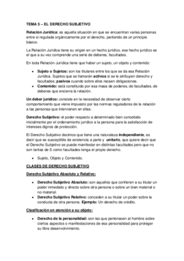 TEMA 5 - El Derecho Subjetivo.pdf