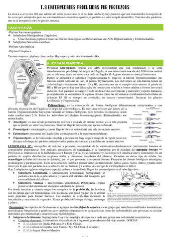 3-Enfermedades-producidas-por-protozoos.pdf
