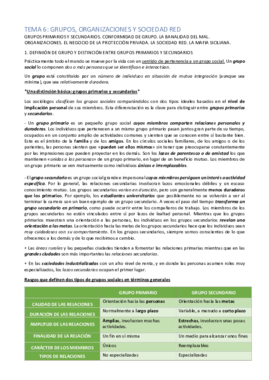 Tema 6.pdf