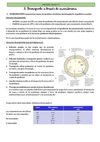 Apuntes-T3-bio-Transporte-a-traves-de-membranas.pdf