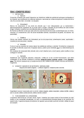 EXAMEN-1-NUTRICIO.pdf