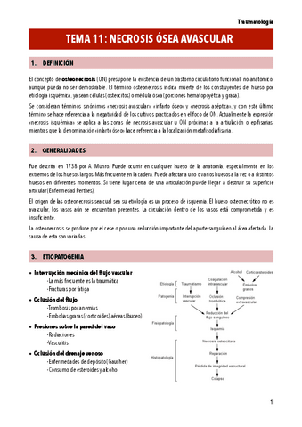 TEMA-11-NECROSIS-OSEA-AVASCULAR.pdf