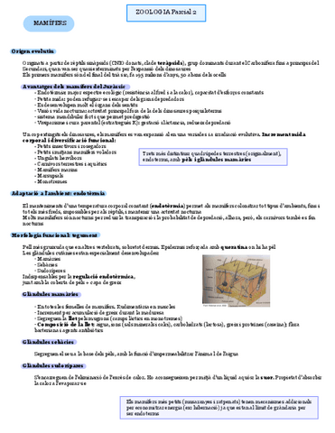 Zoologia-P2-Mamifers.pdf