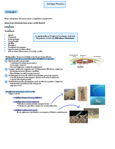 Zoologia-P2-T1.pdf