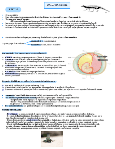 Zoologia-P2-Reptils.pdf