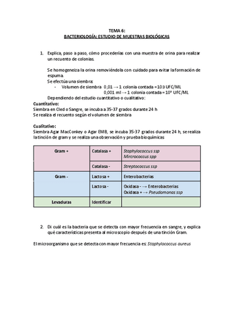 EJERCICIOS-T6-MICRO.docx.pdf
