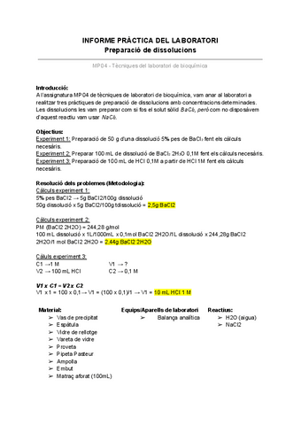 INFORME-PRACTICA.pdf