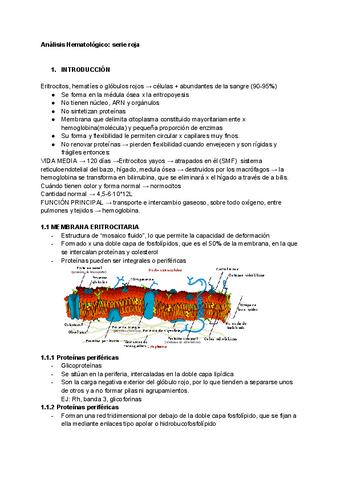 Analisis-Hematologico-serie-roja.pdf